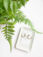 Load image into Gallery viewer, The Bianca Hoops
